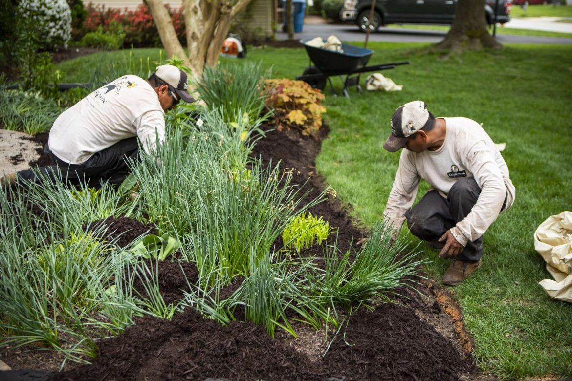 Ultimate Guidelines for Environmental Landscaping at Home