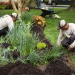 best garden services near me