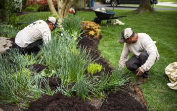 best garden services near me