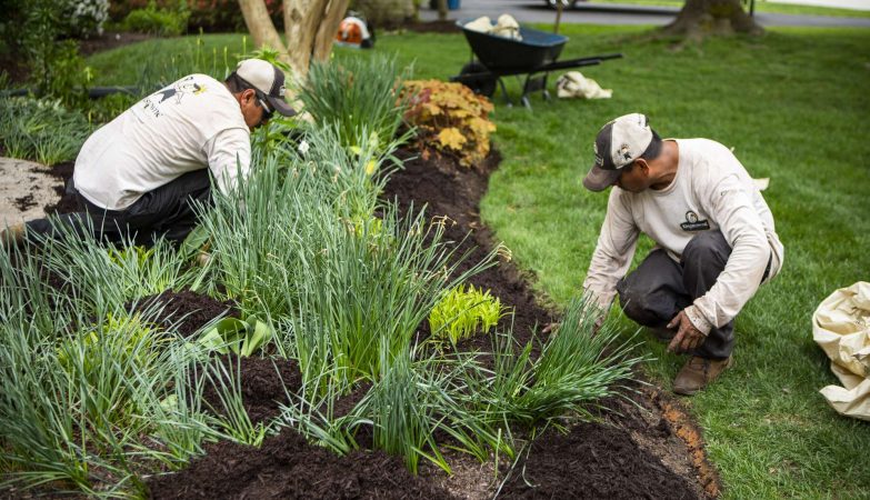 best garden services near me